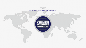 Cecot Crimen Organizado Transnacional Instituto De Relaciones